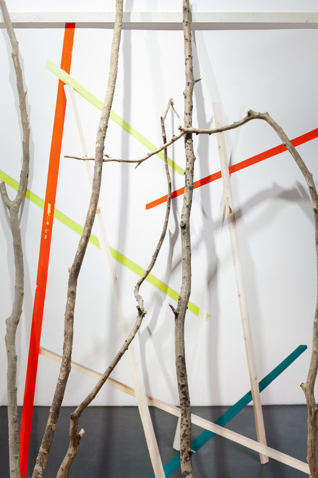 Entwurf eines Waldes in der Steppe, Detail, Ausstellungsansicht, Galeria Posibila, 2021
