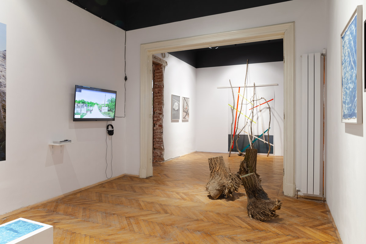 Entwurf eines Waldes in der Steppe, Ausstellungsansicht, Galeria Posibila, 2021
