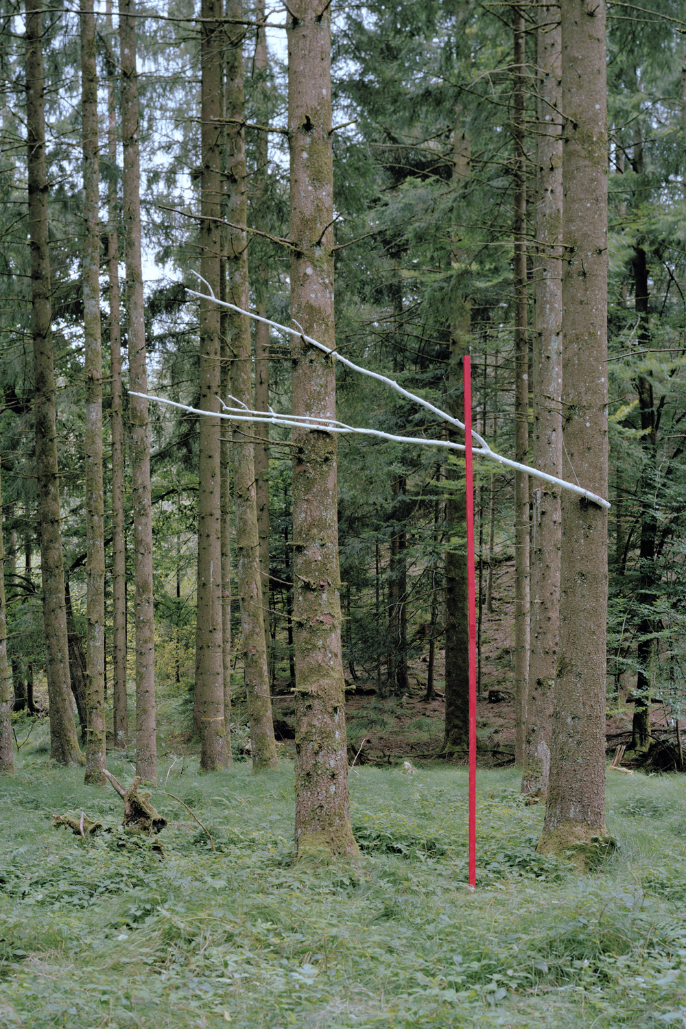 Zwischen Wind und Zeit, 2021, Fotografie, Installation