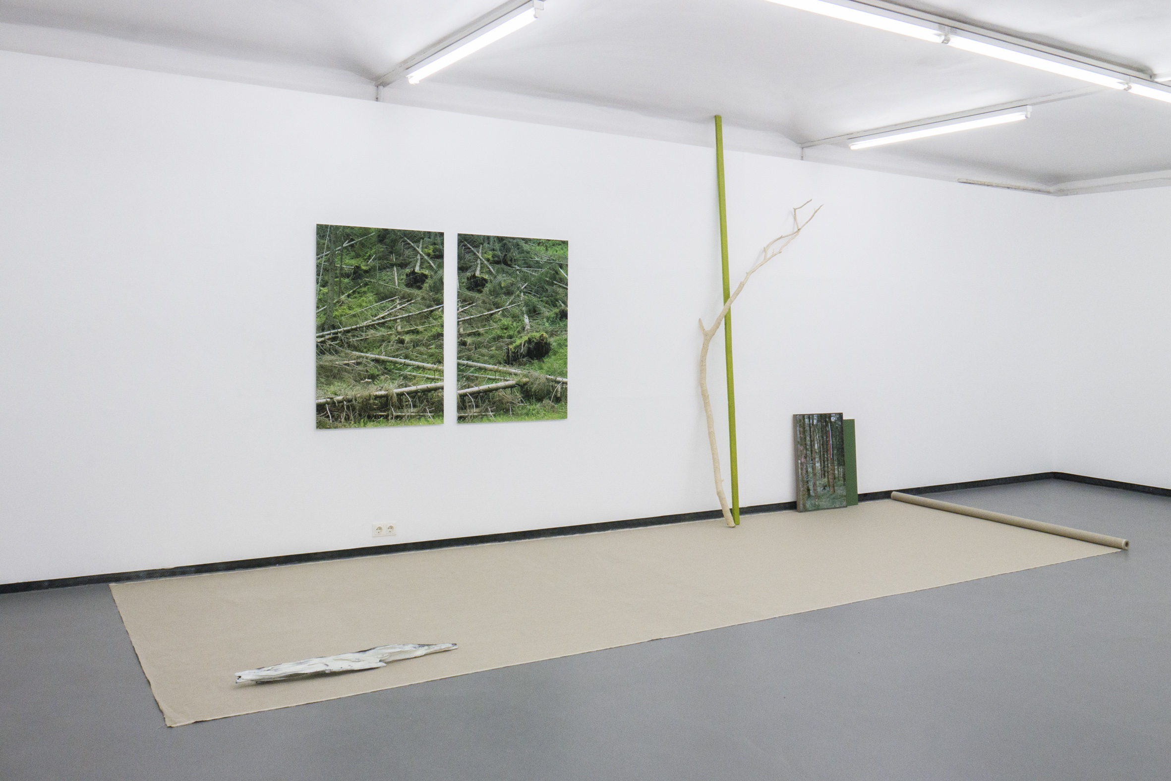 Der Wald und das Steppenkind, 2021, Ausstellungsansicht, Fotogalerie Wien
