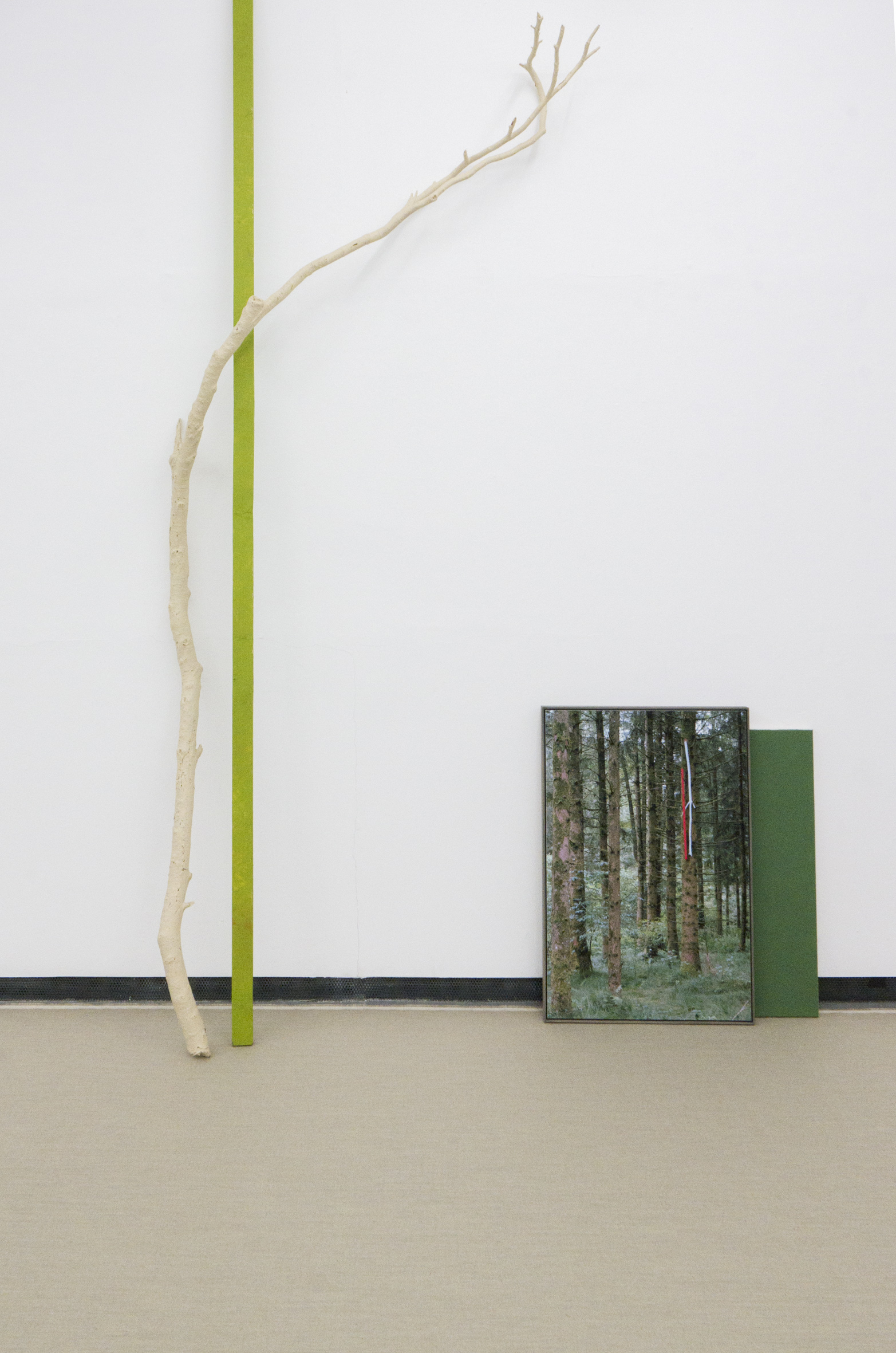 Der Wald und das Steppenkind, 2021, Ausstellungsansicht, Fotogalerie Wien