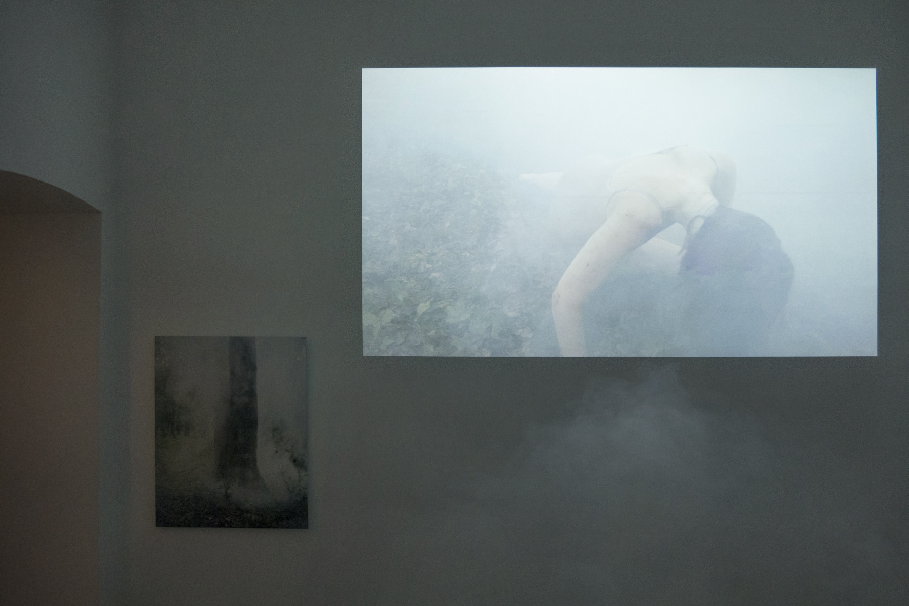 people cannot see well in fog, Ausstellungsansicht, 2022