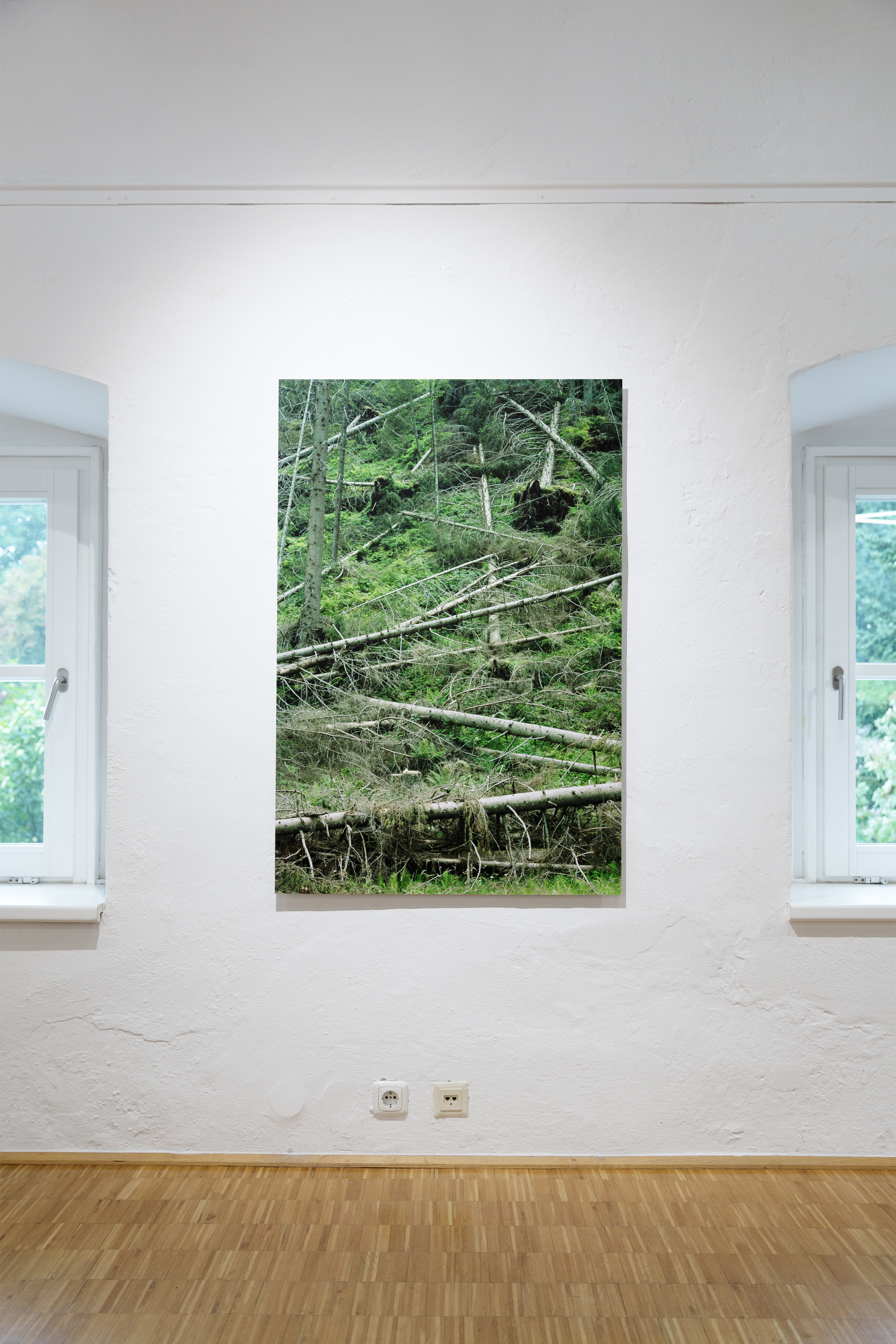 Wald II, 2020, Pigmentdruck, kaschiert, 120 x 80 cm
