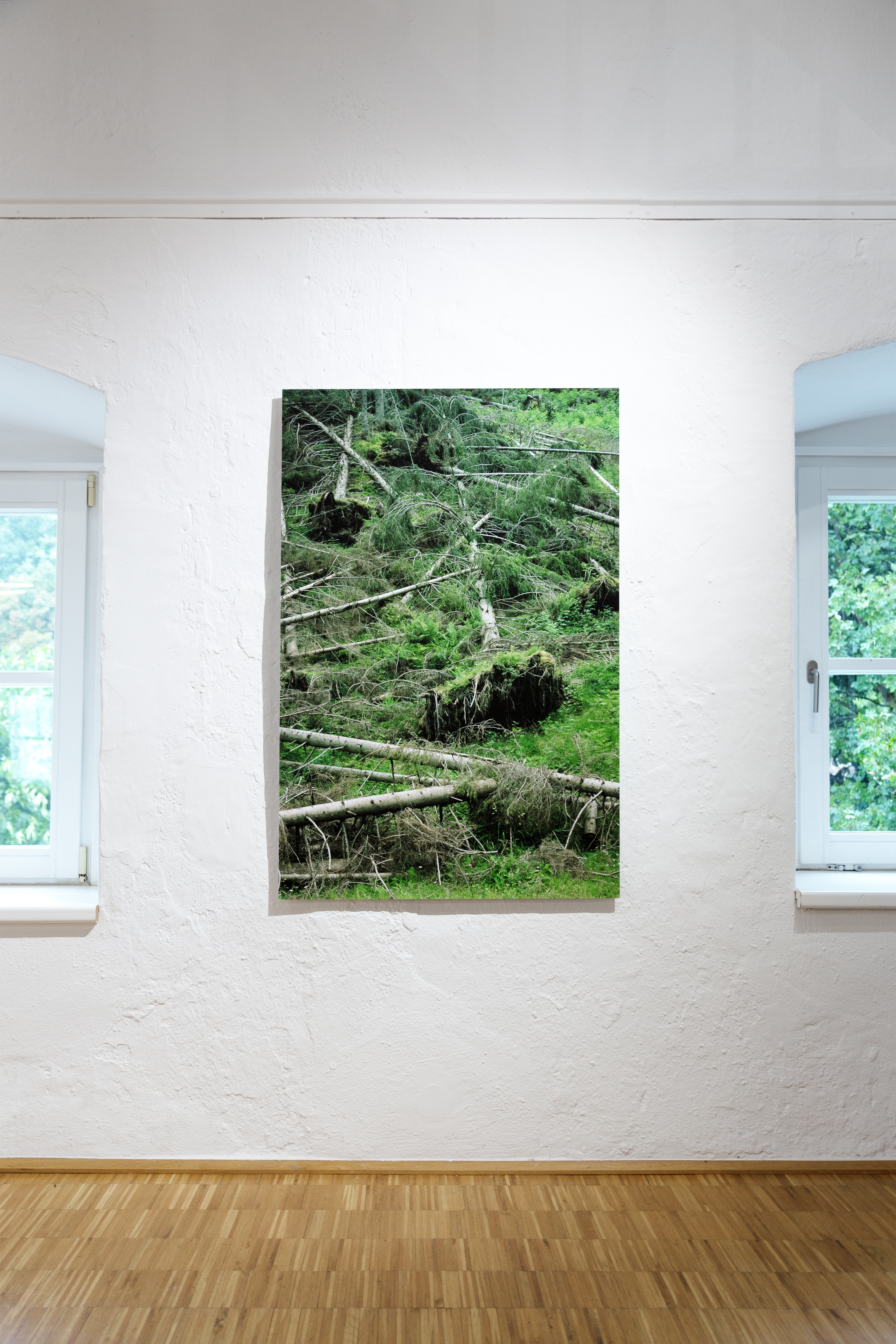 Wald I, 2020, Pigmentdruck, kaschiert, 120 x 80 cm