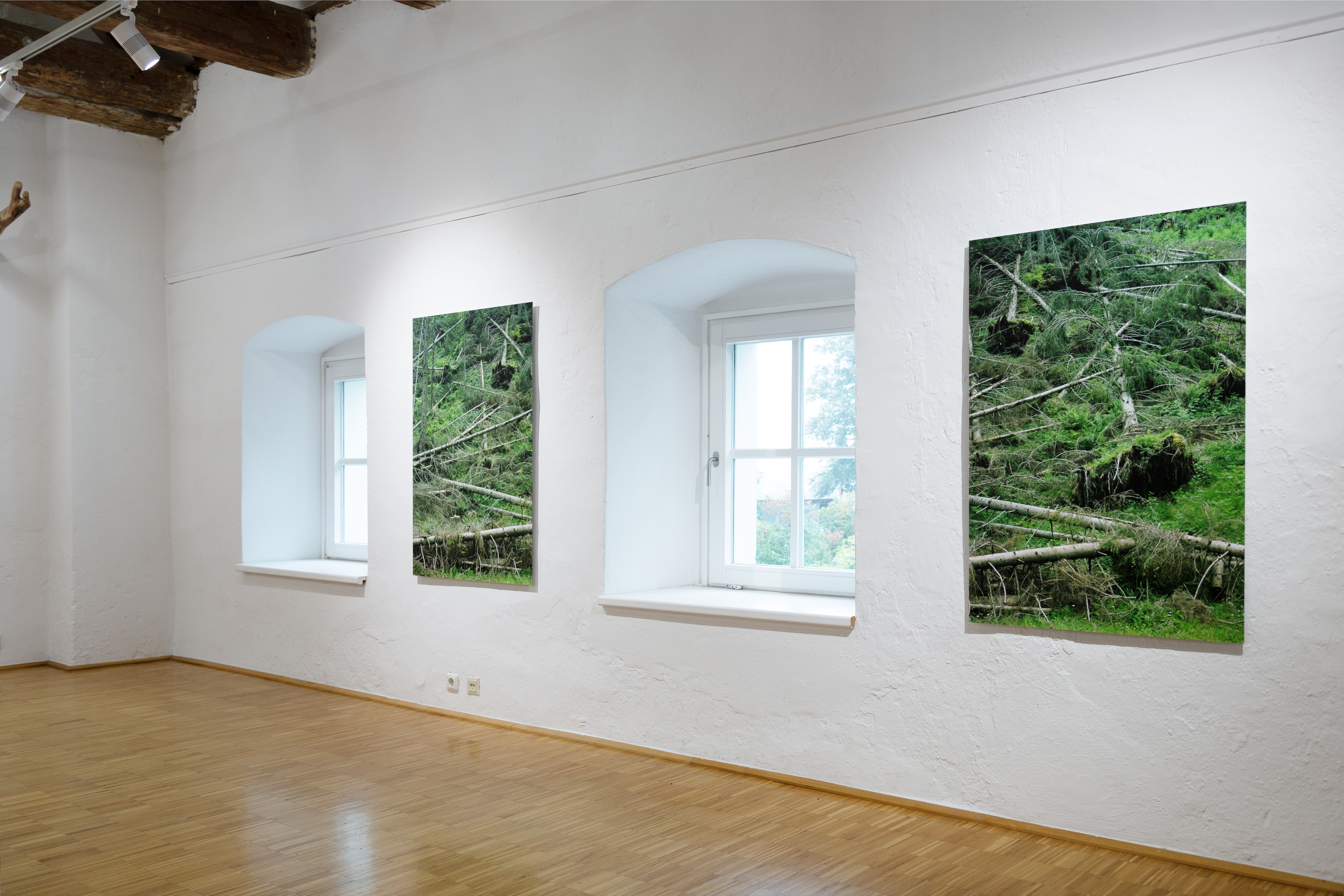 Wald I und II, Ausstellungsansicht, in den Blick nehmen, 2023