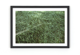 Kristofor-Dauersommer-Ansicht