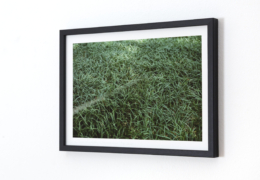 Kristofor, Dauersommer