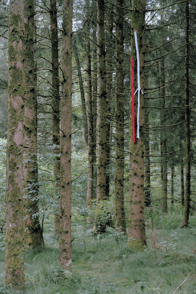 Zwischen Wind und Zeit, 2021, Pigmentdruck, gerahmt, 75 x 50 cm