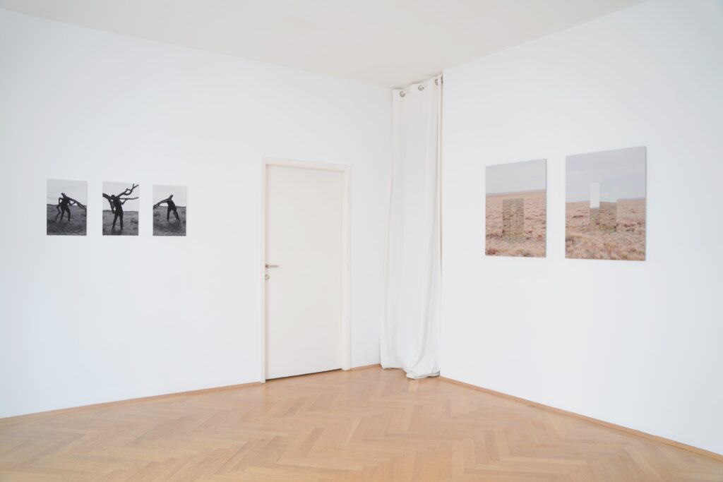 Ausstellungsansicht der Ausstellung "Steppe Scape" im Vienna Collectors Club, in Wien.