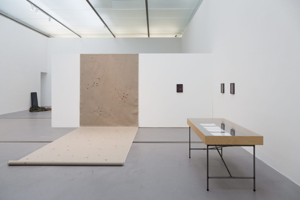 Ausstellungsansicht der Ausstellung "Vertical Horizon" im Lentos Kunstmuseum Linz, im Rahmen der Kyiv Biennale 2025. Zu sehen ist die Arbeit "wie eine Geranie rot" der aus der Ukraine stammenden bildenden Künstlerin Elena Kristofor.