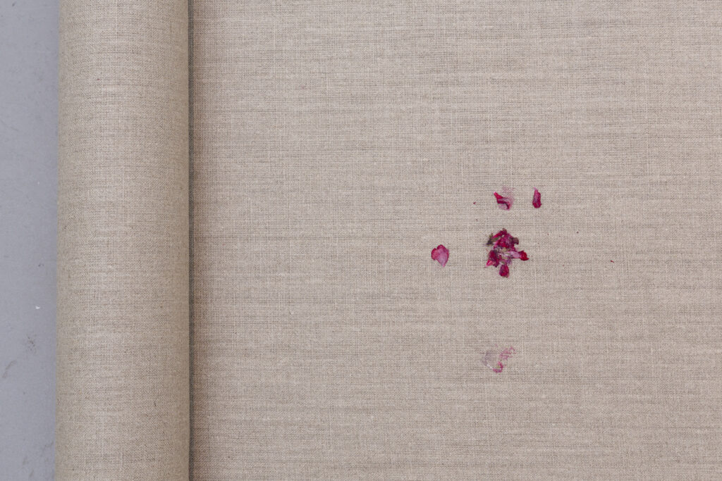 Ausstellungsansicht der Ausstellung "Vertical Horizon" im Lentos Kunstmuseum Linz, im Rahmen der Kyiv Biennale 2025. Zu sehen ist die Arbeit "wie eine Geranie rot", ein Detail, der aus der Ukraine stammenden bildenden Künstlerin Elena Kristofor. Eine Leinwand mit Abdrücken der Geranienblüten.